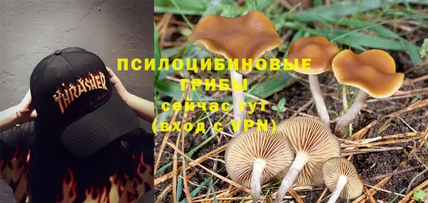 винт Алзамай