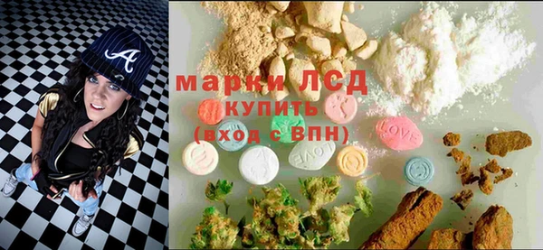 винт Алзамай