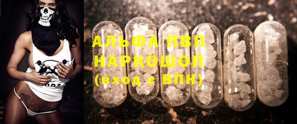 винт Алзамай