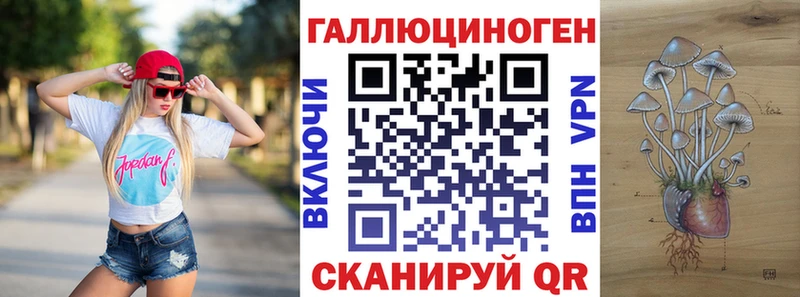 Псилоцибиновые грибы Psilocybe  Бокситогорск 